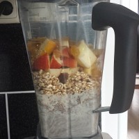 blended diet, eigen sondevoeding maken 